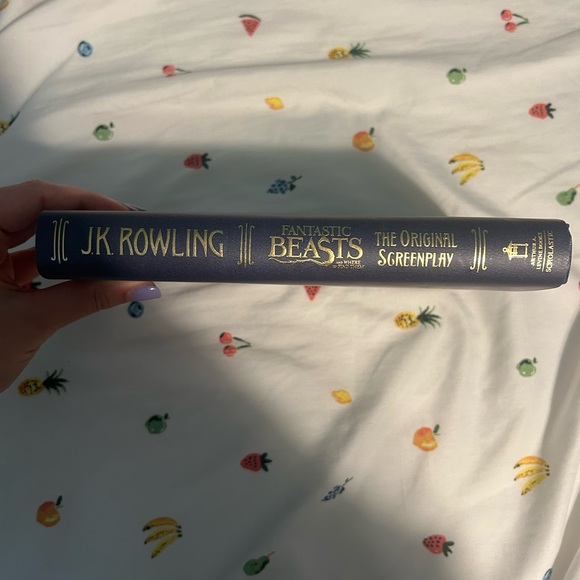 Fantastic Beasts & Where to Find Them Screenplay Book - Picture 3 of 4